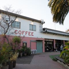 Little Darling Coffee Roasters User Photo