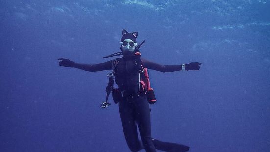 ｜蘭嶼。水肺潛水🤿大海就是有一種魔力把陸地上會害怕的動物在