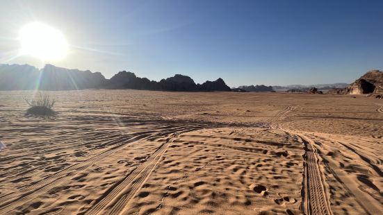 Wadi Rum was so fun to go to. 