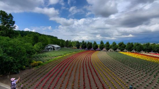 Flower Land Kamifurano: Breath