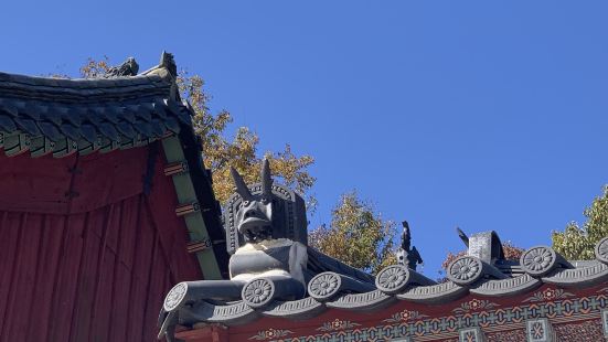 秋冬若想逐銀杏、楓葉而游，梵魚寺是訪釜山非常好的選擇，除了主