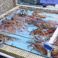 布袋澳海鮮島 User Photo