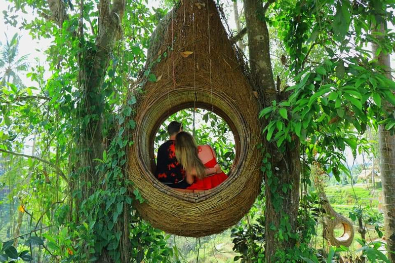 峇里島大鞦韆用戶評價