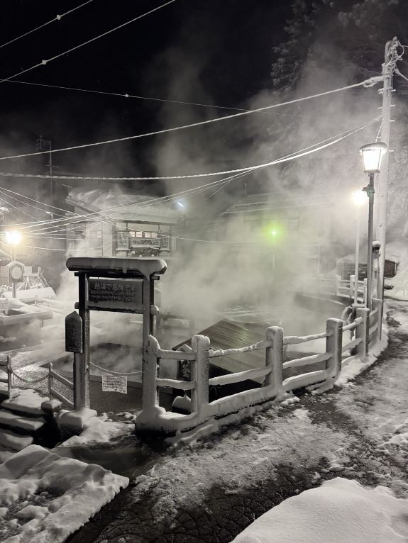 Nozawa Onsen Snow Resort Tickets [2026] - Promos, Prices, Reviews