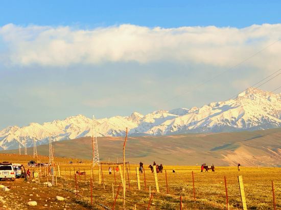 布宮酒店（重慶愛琴海店）優惠
