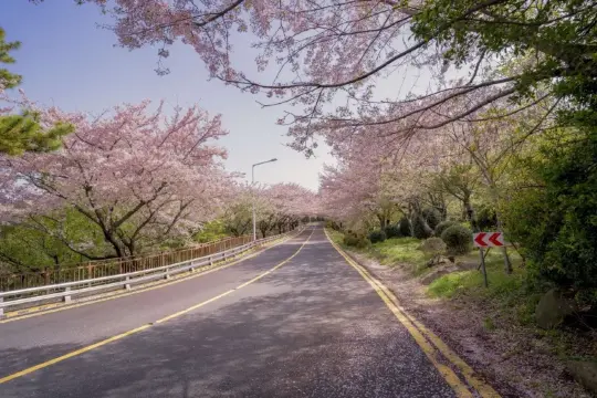 Busan To Jeju | Trip Guide