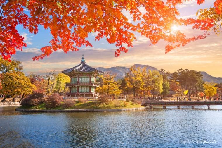 Travel to Seoul from Malaysia: Your Ultimate Guide