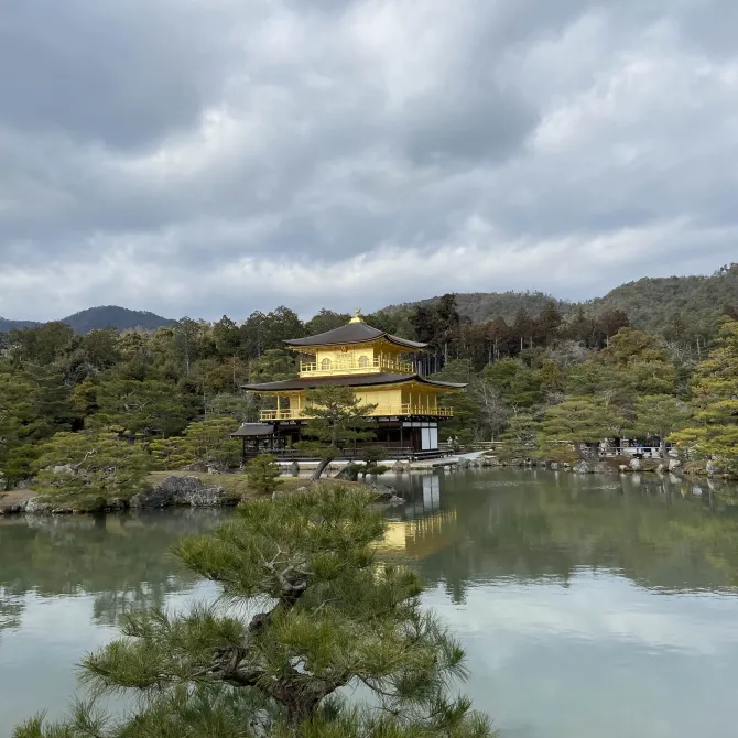 【京都哪裏好玩】京都旅遊全攻略——春夏秋冬旅遊熱點懶人包