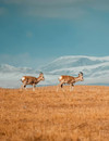https://ak-d.tripcdn.com/images/1n70612000jfy7yxg3FB3.jpg