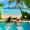Fiji Holiday