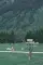 象野之旅