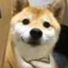 user-icon