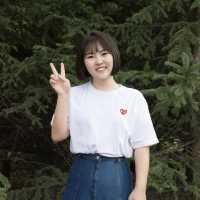 日本全境定制包车刘阳