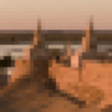 一城、一河、两胡杨，大漠风光这边独好