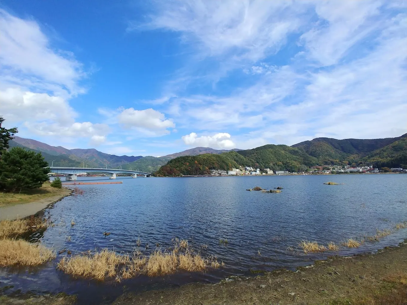 寧靜的富士河口湖町大池公園