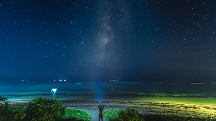 斐濟夜晚的星空 圖片來源:unsplash