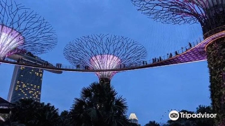 OCBC Skyway: Your Access To New Heights!