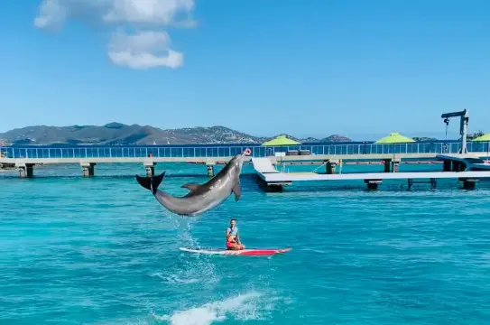 ヴァージン諸島　コーラルワールドオーシャンパーク