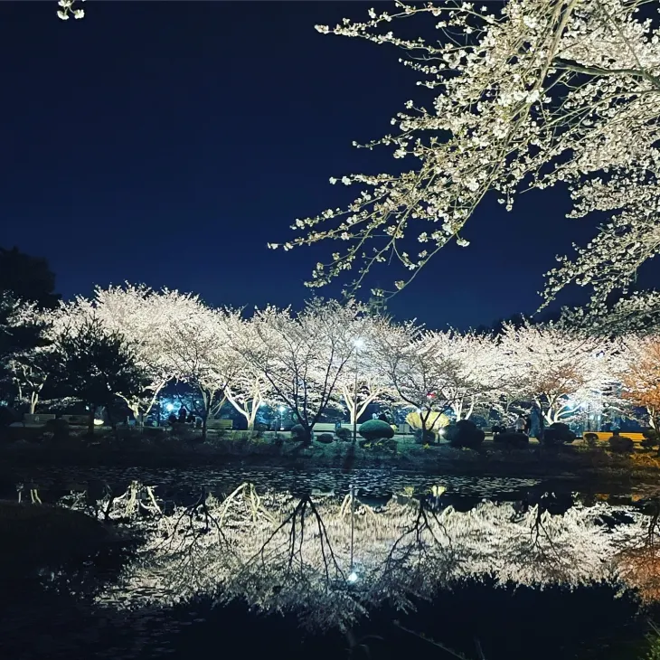 나주 동신대학교 (출처: 동신대학교 공식홈페이지)