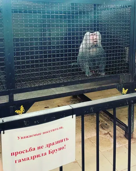 Samara Zoo