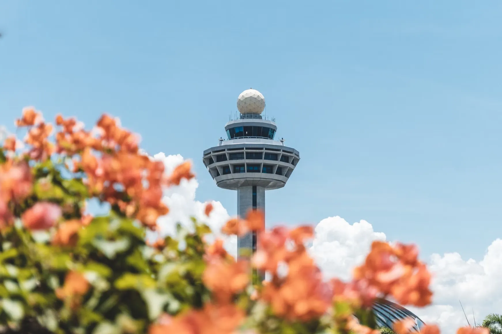 Changi Airport. Source: shwananggg/unsplash.com
