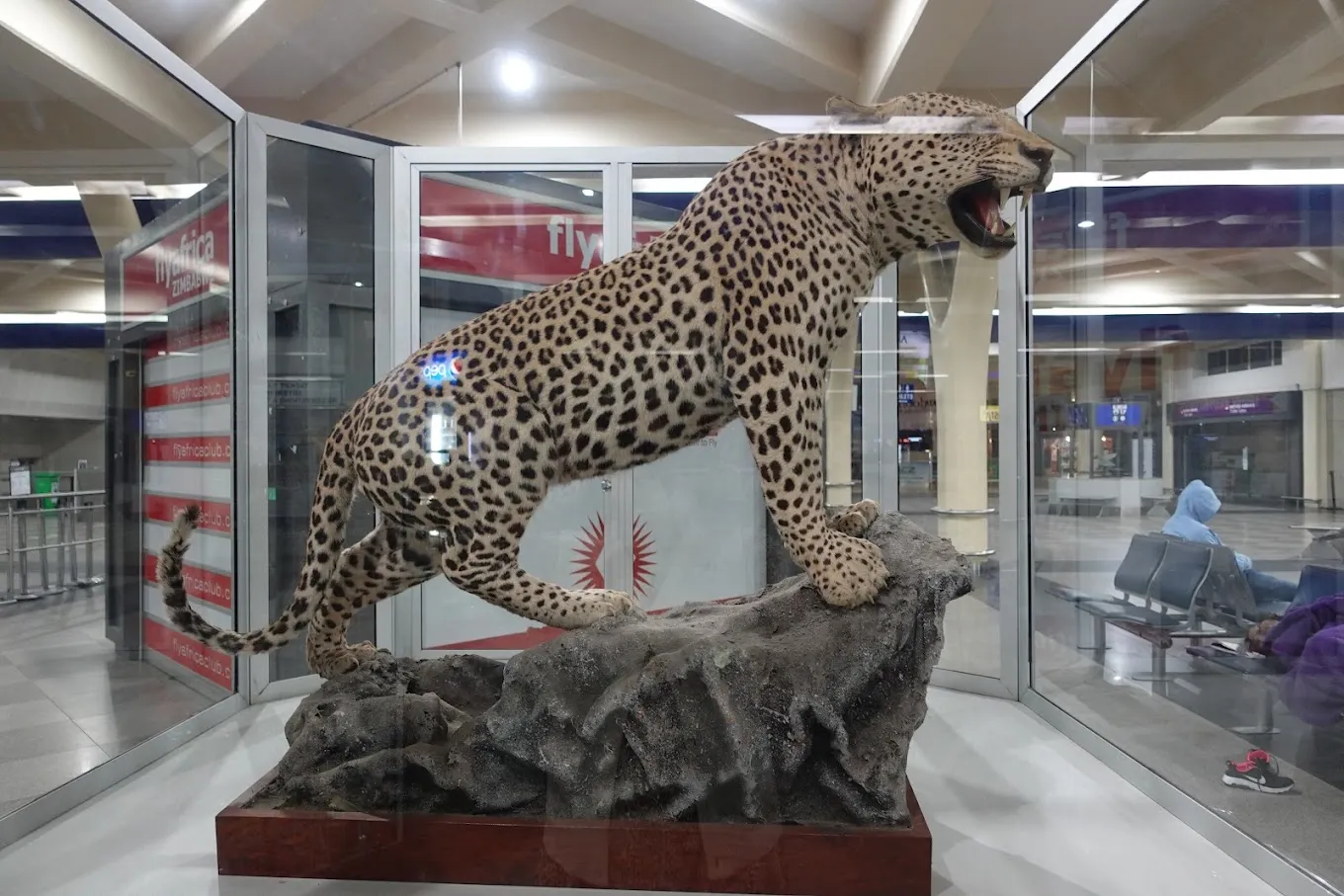 Robert Gabriel Mugabe International Airport, Harare