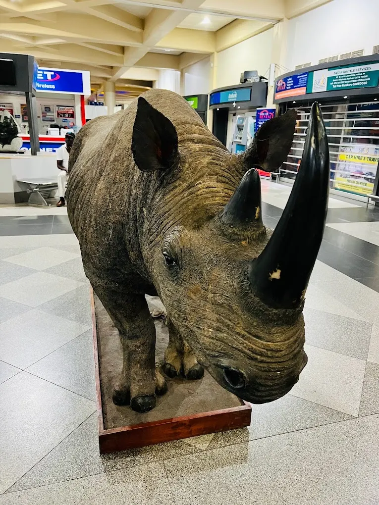 Robert Gabriel Mugabe International Airport, Harare