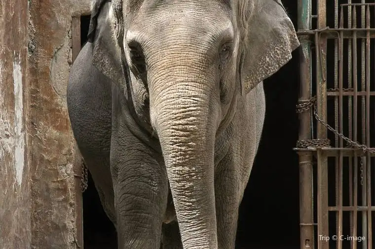 マニラ動物園