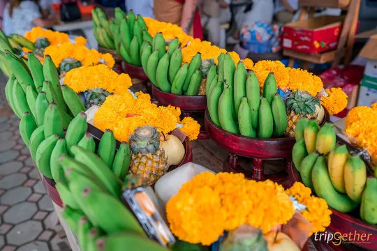 วัดป่าแดด - เชียงใหม่ : ของถวาย (Source: tripgether)