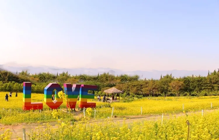 대구 이월드 (출처: 대구 이월드 83타워 공식홈페이지)