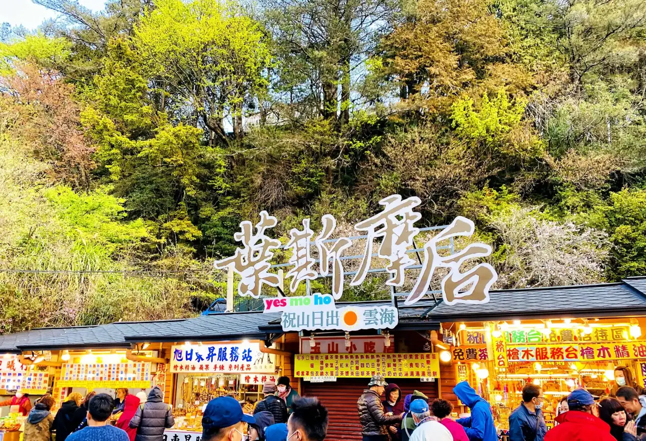 捕捉清晨第一道曙光，拍下櫻花與日出的合影