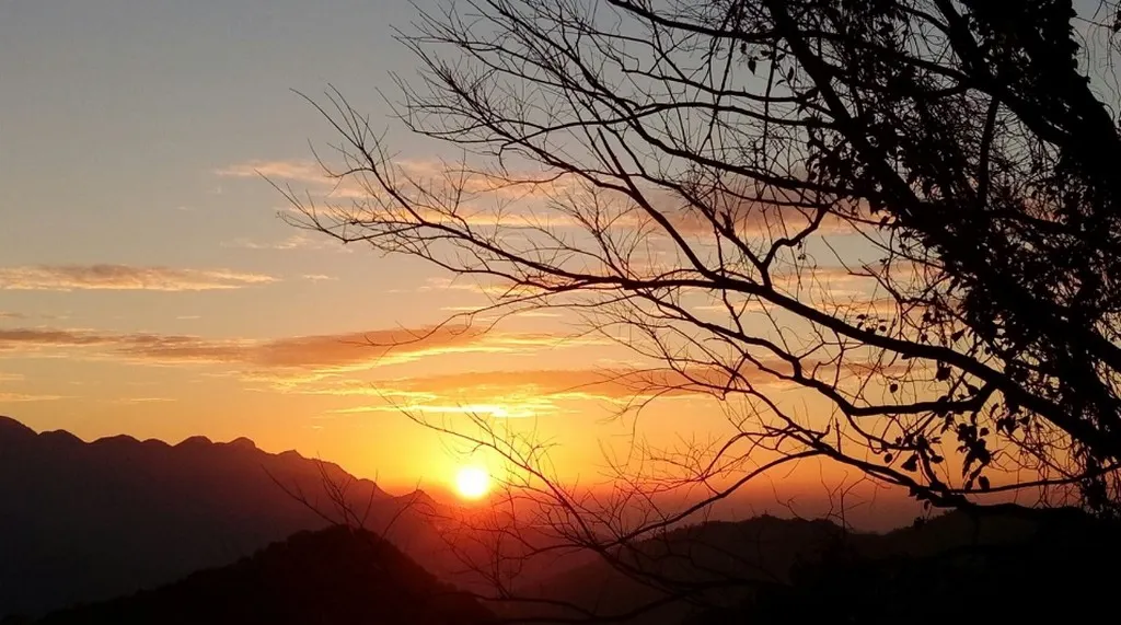 桃園東眼山國家森林遊樂區夕陽。