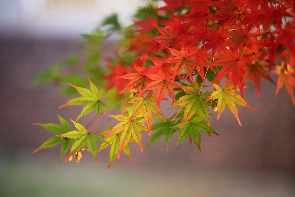 韓国・光州の10月の気温