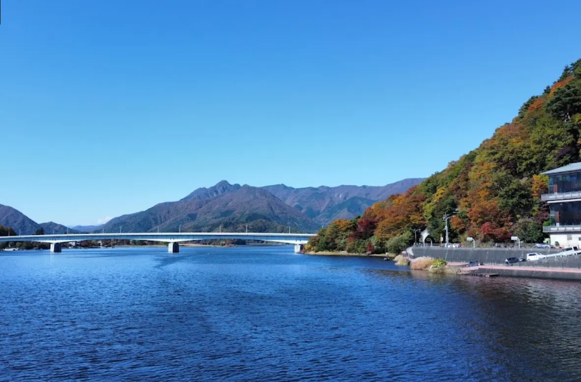 大池公園旁邊的河口湖大橋