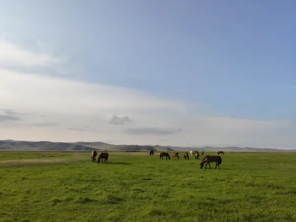 Grassland in Manzhouli , Source: Photo by Edward Ji on Unsplash