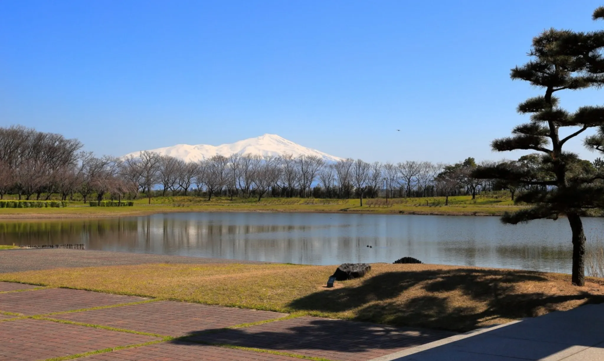 酒田市土門拳紀念館