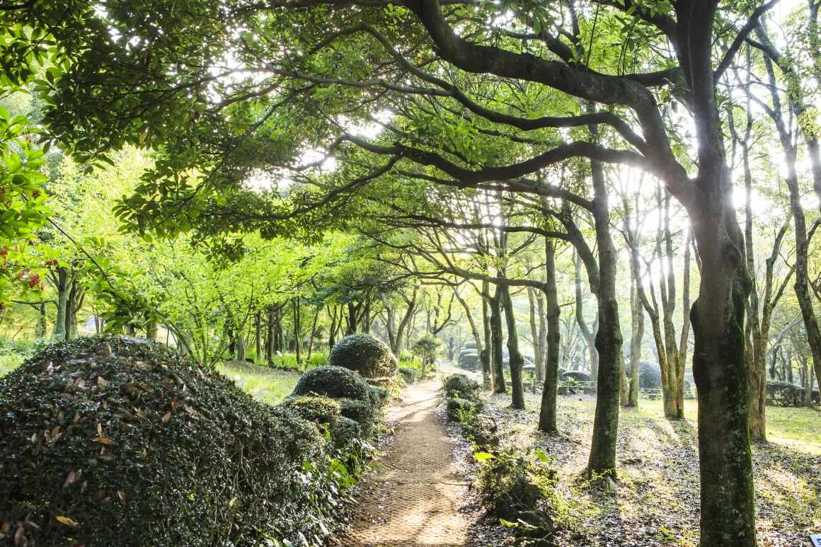제주 한라수목원 (출처: 비짓제주)