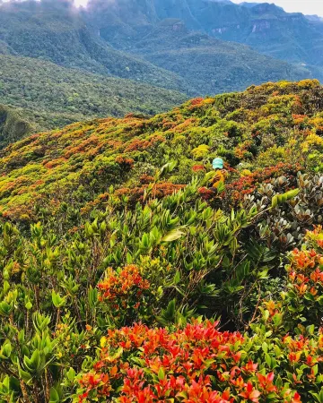 Knuckles Mountain Range, near Meemure