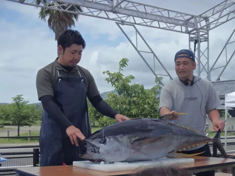 奈半利町, なはり観光フェス・おさかな祭り