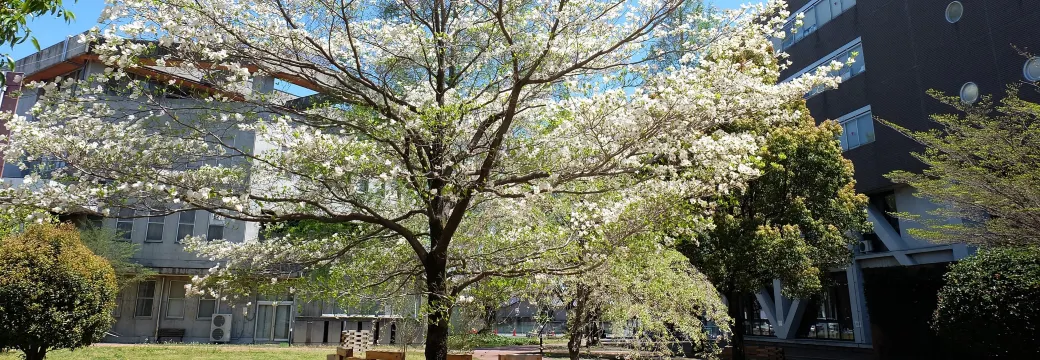 群馬県,前橋市,前橋工科大学,附属図書館