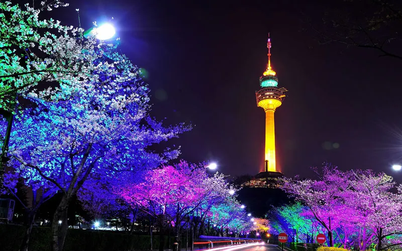 대구 이월드 (출처: 대구 이월드 83타워 공식홈페이지)