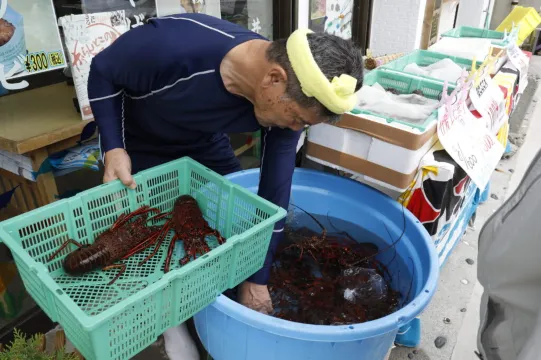 伊方町, 三崎漁協直売所 