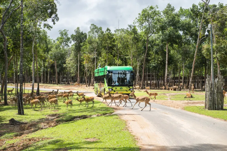 Vinpearl Safari Phu Quoc, Phu Quoc Island