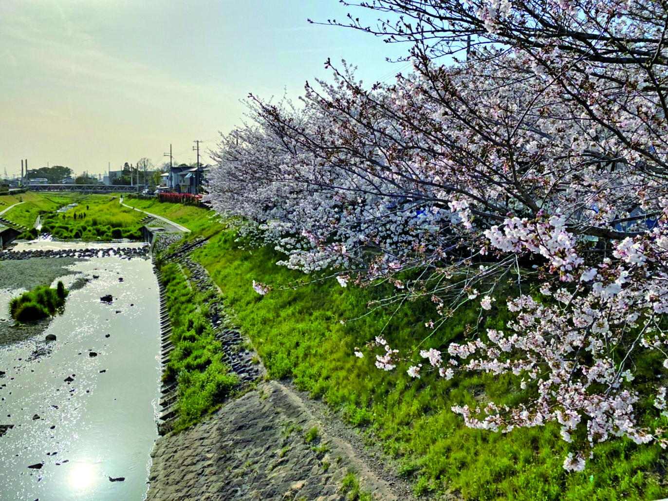 兵庫県,播磨町,野添であい公園