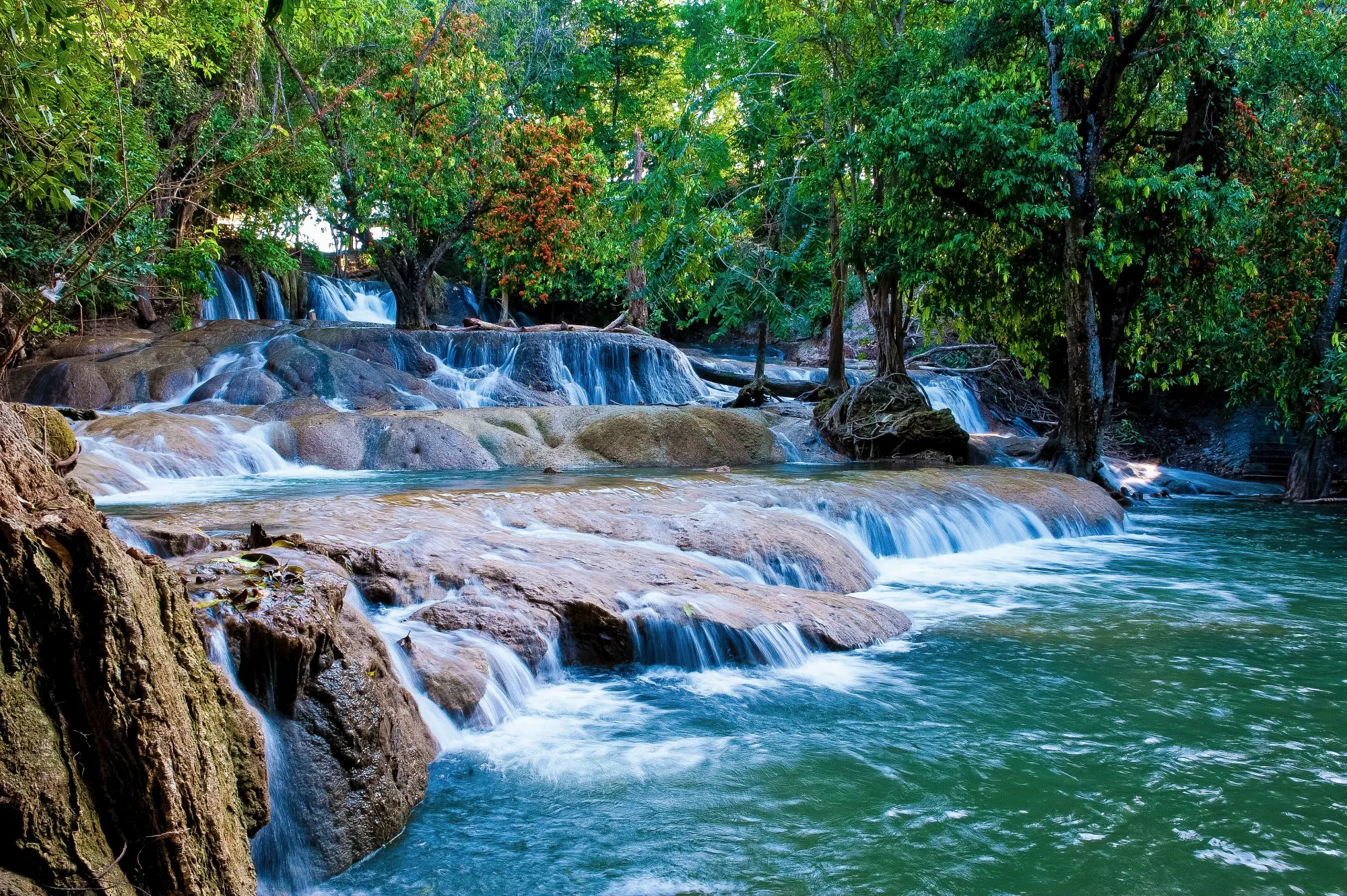 อำเภอบ้านหมี่ : สวนรุกขชาติวังก้านเหลือง (Source: การท่องเที่ยวแห่งประเทศไทย)