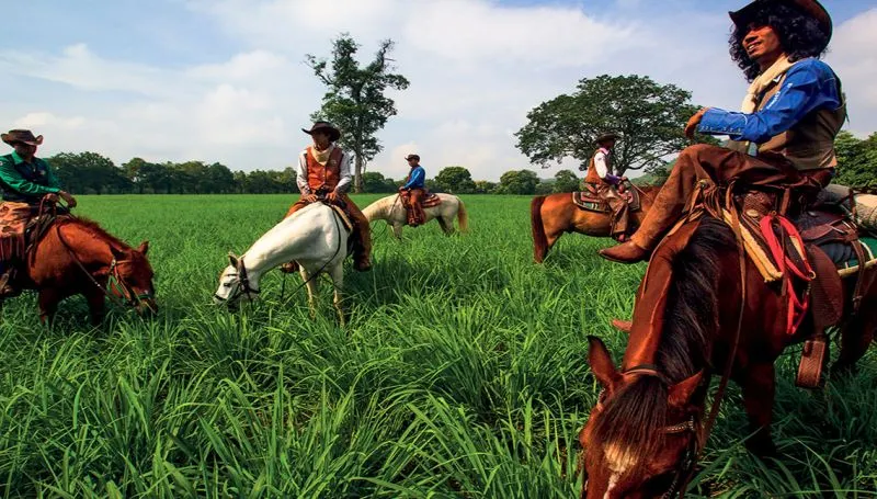 คาวบอยฟาร์มโคนมโชคชัย - จ.นรราชสีมา (ที่มา: farmchokchai)