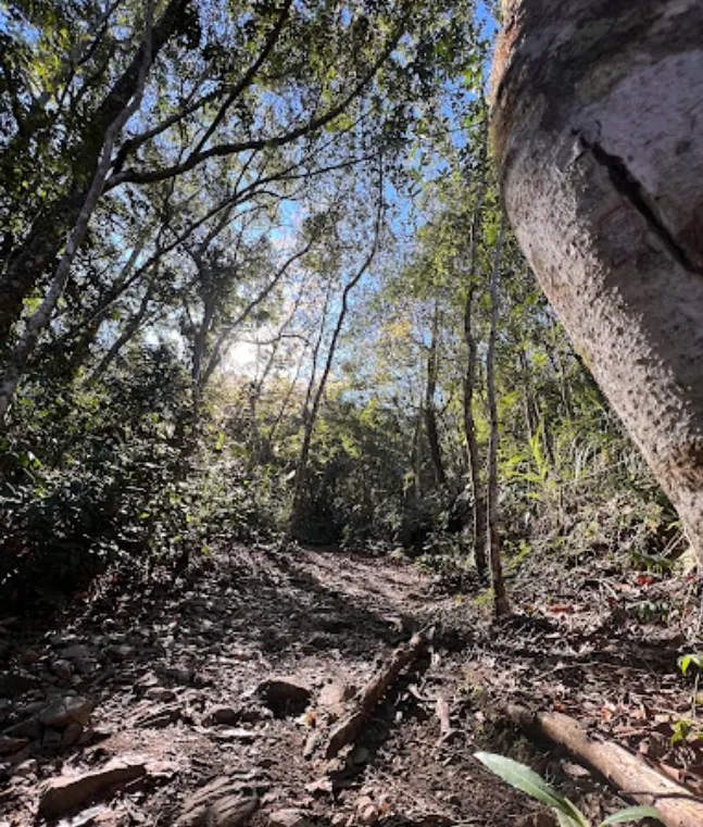 台中馬崙山登山步道