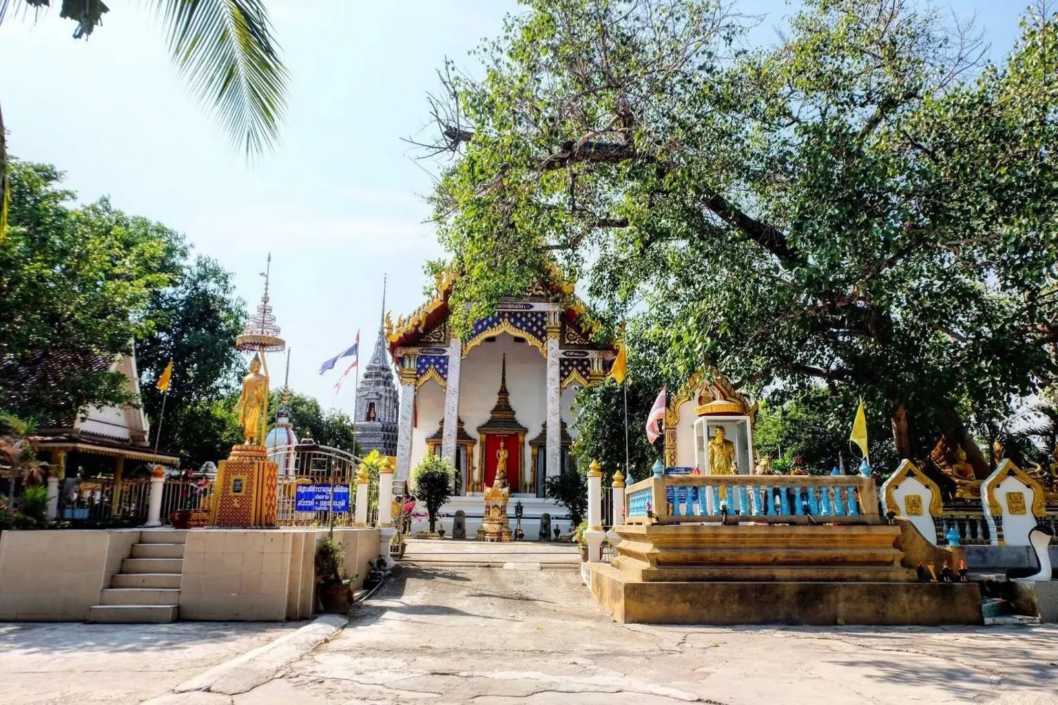 วัดบางนมโค อำเภอ เสนา (แหล่งที่มาของภาพ: go.ayutthaya)