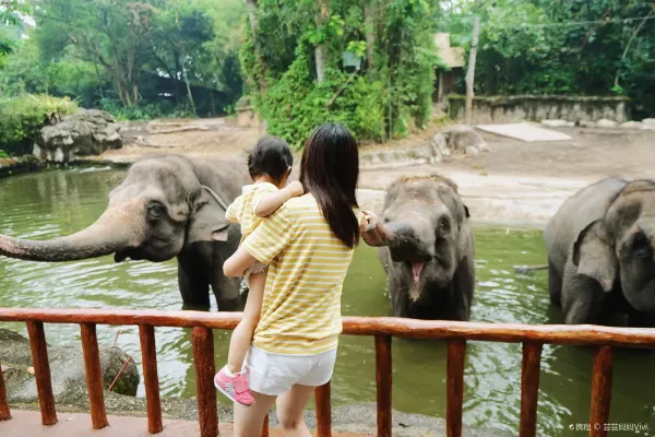 Singapore Zoo