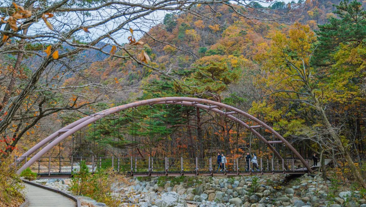양양 오색약수터의 가을 풍경 (출처: 강원관광)
